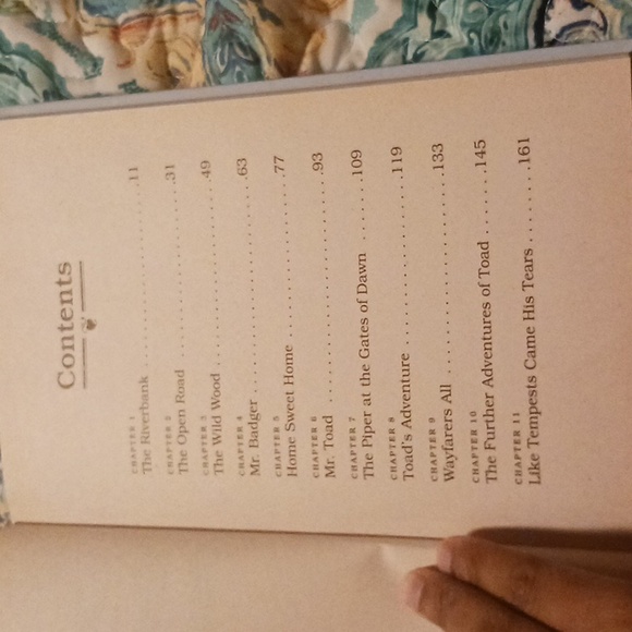 Chapter book - Picture 4 of 6